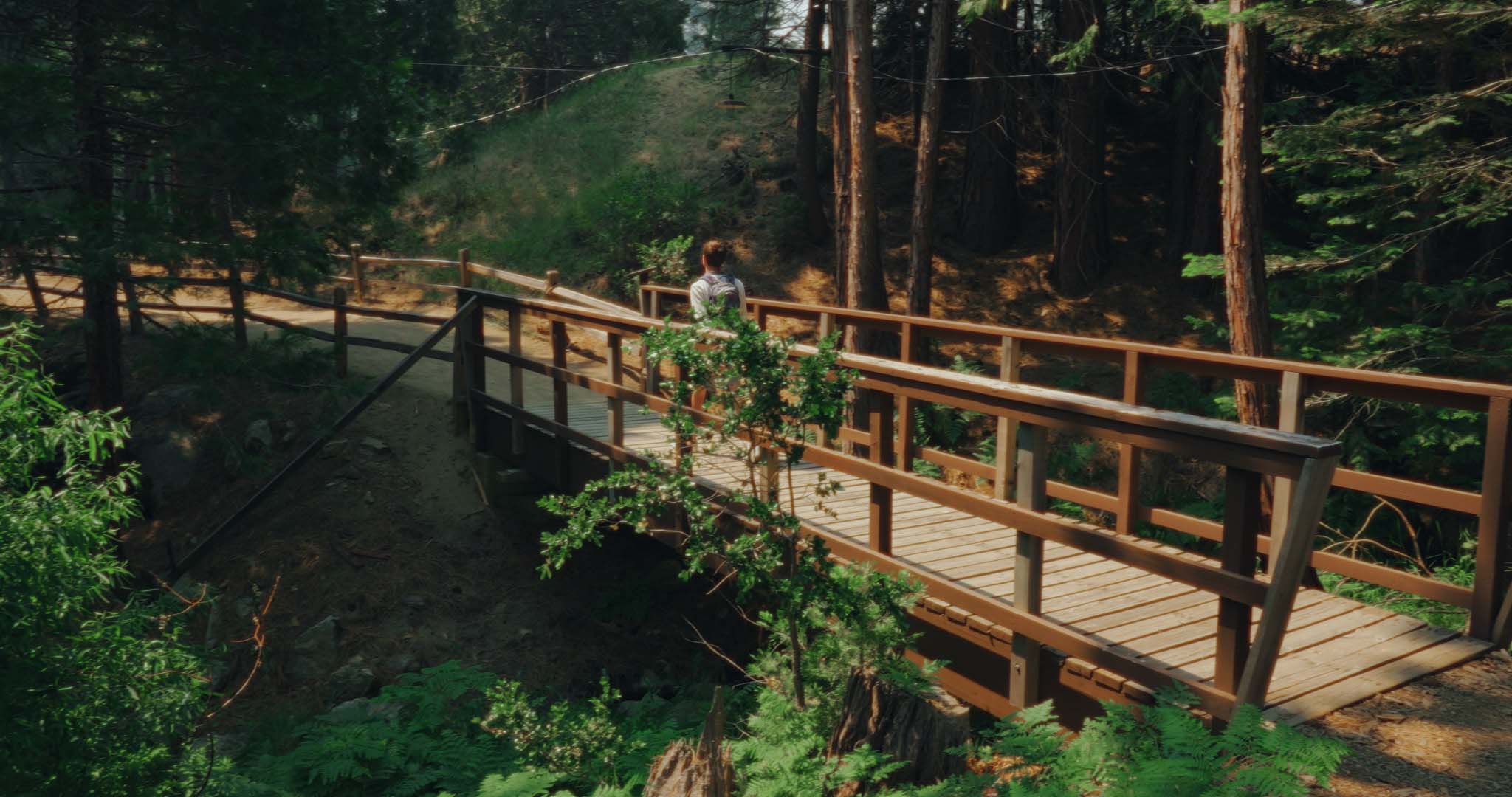 Jack Derepentigny Placeholder Image